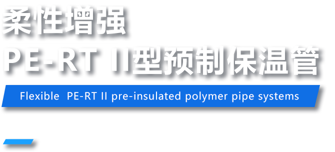 管道流量控制解決方案的市場(chǎng)領(lǐng)導(dǎo)者